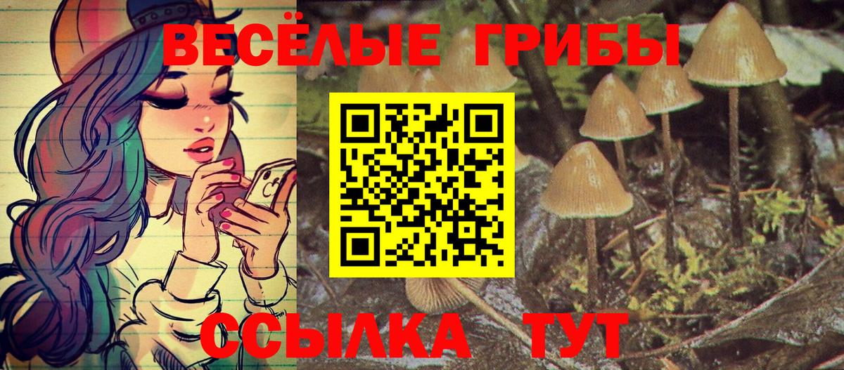 Галлюциногенные грибы Psilocybine cubensis  Вход с VPN  Сергиев Посад 